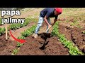 estamos en la segunda Lampa de la papa        (papa Cutipay) los trabajos del campo 🏞️