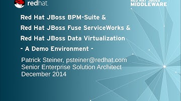 Red Hat JBoss BPM & FSW & DV Integration Demo