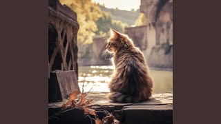 Streamside Cat Harmony