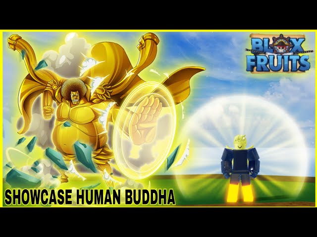 HUMAN HUMAN BUDDHA ZOAN (BEAST) DEVIL FRUIT SHOWCASE IN BLOX FRUITS - PART  29 