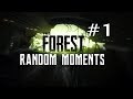 The Forest - Random Moments #1