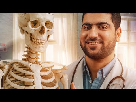 ٢٠٦ عظمة من الجمجمة للصباع الزغير في رجلك