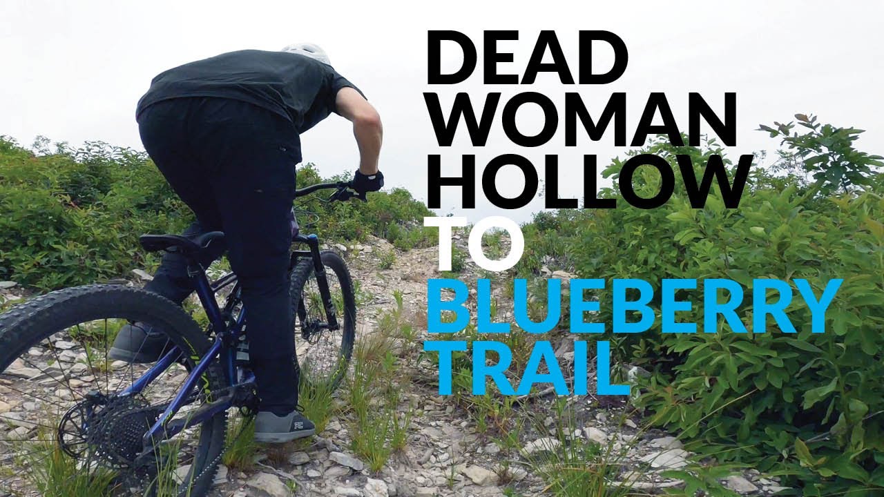 Горный велосипед в государственном лесу Мишо | Тропа от лощины Мертвой женщины до тропы Черники