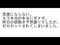 【ＦＸ】言葉にならない。もう本当の本当にダメポ。ゼロカット。