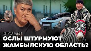 видео: NEWS. Токсичный смог душит Өскемен. Экологов ловят на взятках. Электрокары обложили налогами? картинка: NEWS. Токсичный смог душит Өскемен. Экологов ловят на взятках. Электрокары обложили налогами?