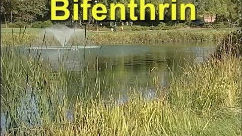 Bifenthrin