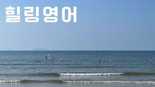 Celebrity 힐링영어#8 Lying On College Applications Wealth