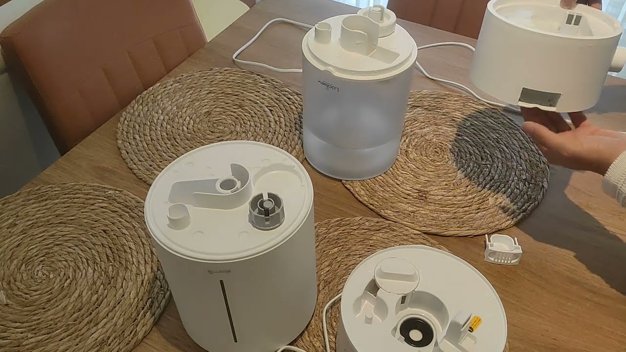 Deerma f628s Buhar Makinesi vs. Loobex Buhar Makinesi