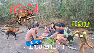 ມື້ນີ້ຫມານ3ໂຕ// วันนี้โชคดีมากๆ ได้ 3 ตัว 30 พฤษภาคม ค.ศ. 2024