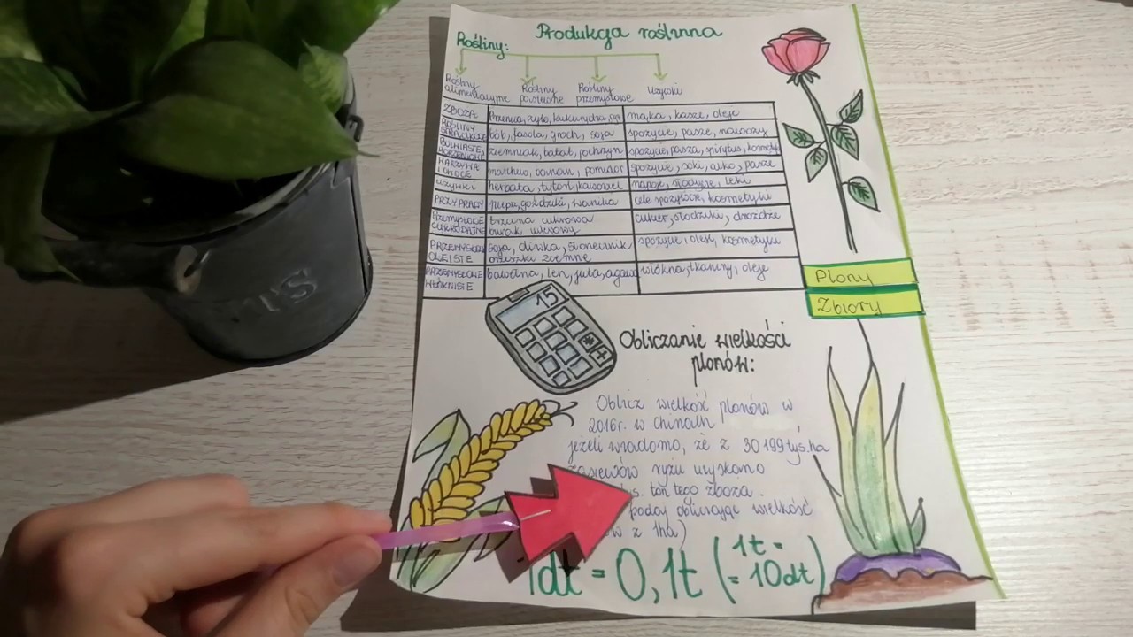 Sprawdzian Geografia 1 Liceum Nowa Era
