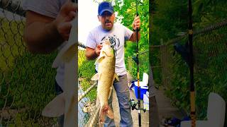 Ugly Stik Bigwater Combo Rod