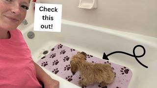 Check out this bath mat