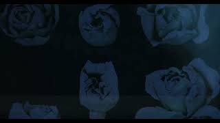 LUSSURIA - fresco - trailer