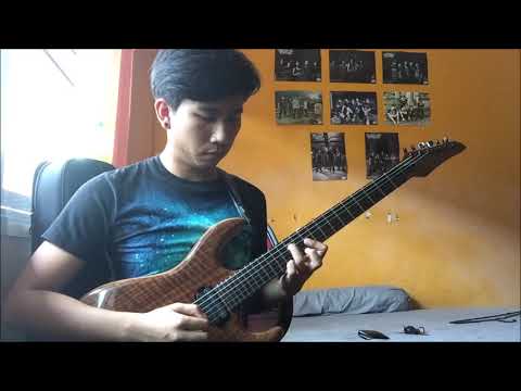 PERIPHERY | Luck As A Constant | GUITAR COVER