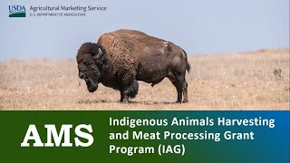 USDA AMS: Indigenous Animals Harvesting & Meat Processing Grant Program (IAG)