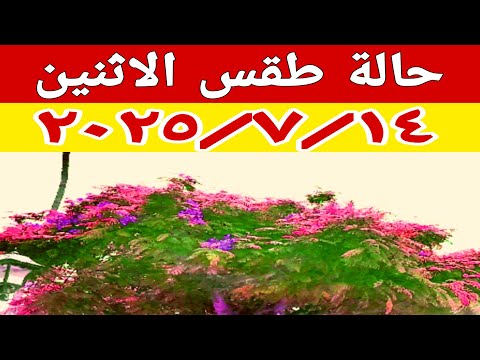 نشاط رياح وارتفاع الأمواج وحرارة ورطوبة مرتفعة في حالة الطقس غدا الاثنين ٢٠٢٥ ٧ ١٤