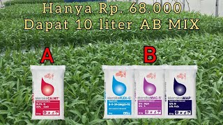 Cara meracik membuat nutrisi ab mix untuk hidroponik murah dan hasilnya bagus