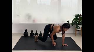 Quadruped Plank Toe Taps