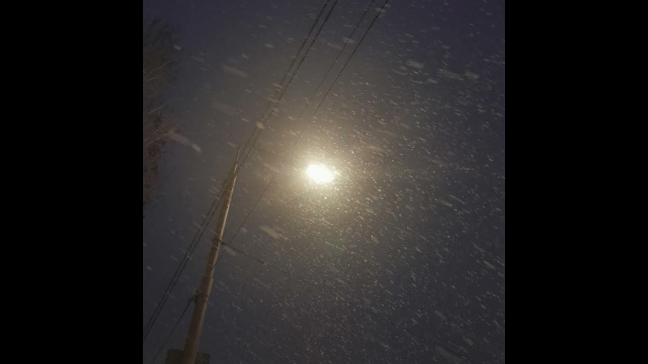 Rerb1 - disability (breakcore, 2024)