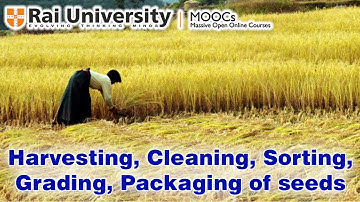 Harvesting, Cleaning, Sorting, Grading, and Packaging of seeds Part IV