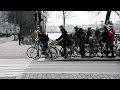 Michel et Augustin à Copenhague. A la rencontre des experts nordiques du vélo !