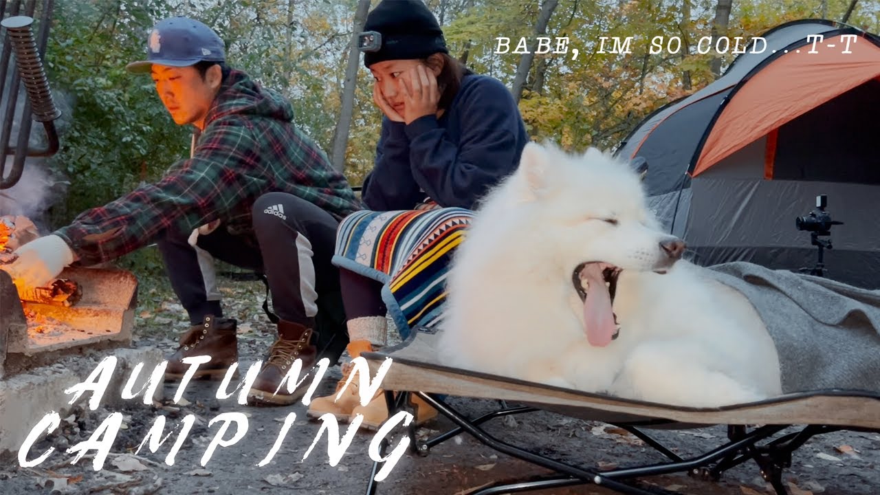 Cold Night Camping 🥶  w. Korean Army Stew + Spicy Chicken Gizzard