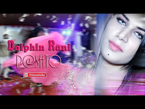 Dolphin Rani ! My Face Is Good Side ! Pashto Best D@nce  ! Haripur ! PKDP