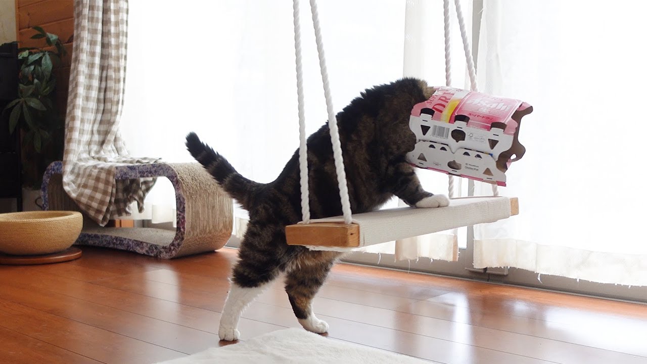 ネコワナンビキオッテモコマランと思う。ページ maxresdefault.jpg