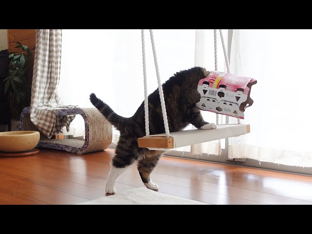 猫さんです！他の方はご購入頂けませんのでご注意下さいませ。 Amazon.co.jp: マグネット 猫がいます ドアの開閉にご注意