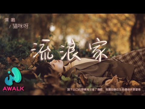 猫咪呀 - 流浪家『说不出口的爱情淹没进了海底，我独自躺在生命边缘快要窒息。』【动态歌词 | Pinyin Lyrics】【十二月新歌】【AWALK MUSIC】