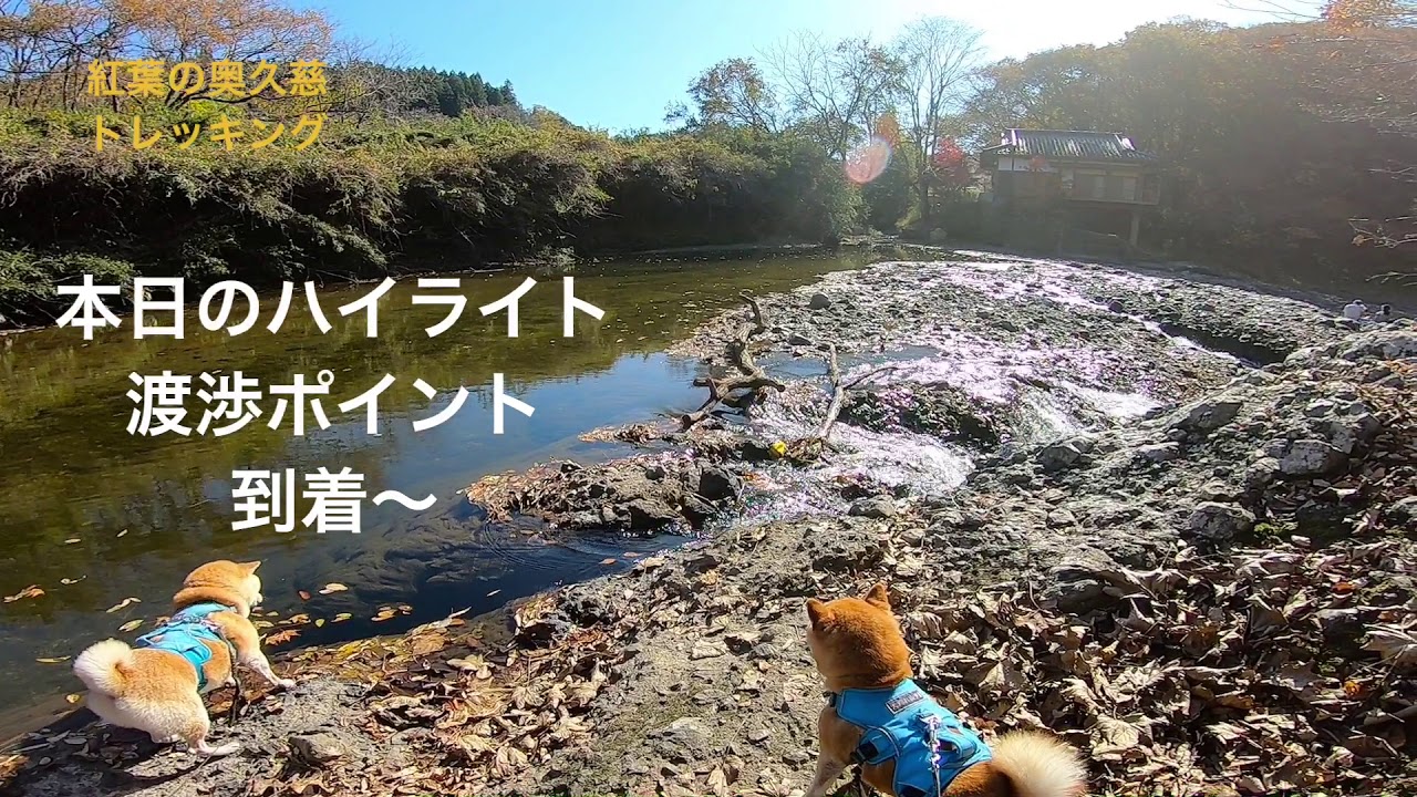 【茨城のジャンダルム】生瀬富士〜月居山　紅葉ハイキング！