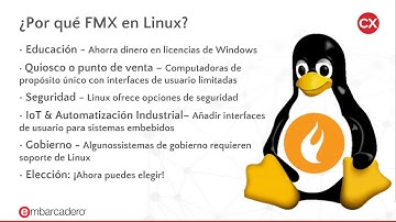 FMXLinux