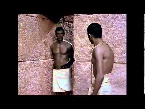    4 4 شكاوى الفلاح الفصيح