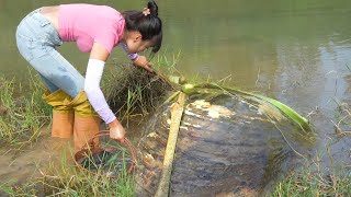 😲😲The Girl Followed Her Intuition And Found The Pearl Treasure Embedded In The Huge Clam‼️