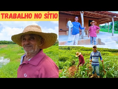 Limpeza do Milho ? Vejam Só Como tá nossa Plantação +Inaugurado Tarrafa com Maykon
