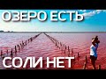 Розовое озеро. Когда и куда приезжать? САСЫК СИВАШ в Крыму БЕЗ ФИЛЬТРОВ КАК ЕСТЬ. Крым сегодня 2021