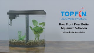 Top Fin Bowfront Double Betta Tank 5 Gallon #Aquarium Setup | YouTube