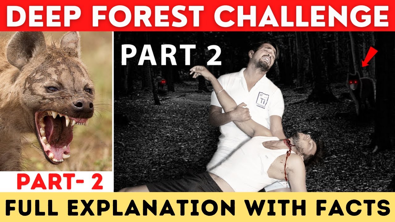 Deep Forest Challenge - Part- 2 by Mr. Indian Hacker | Full Explanation with Facts