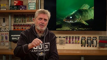 The future of walleye fishing in Minnesota....