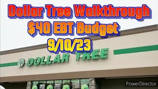 Dollar Tree Walkthrough $40 EBT Budget 9/10 #dollartree #budget  #saving #ebt #shopping #shopwithme