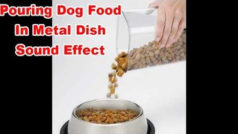 Pouring Dog Food in Metal Dish Sounds Noises | Film & Sound Effects No Copyright
