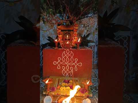 Happy karthika pournami🪔🙏 #karthikamasampooja #karthikapournami