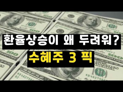   환율급등 달러강세 을 두려워할 필요가 없는 이유와 수혜주