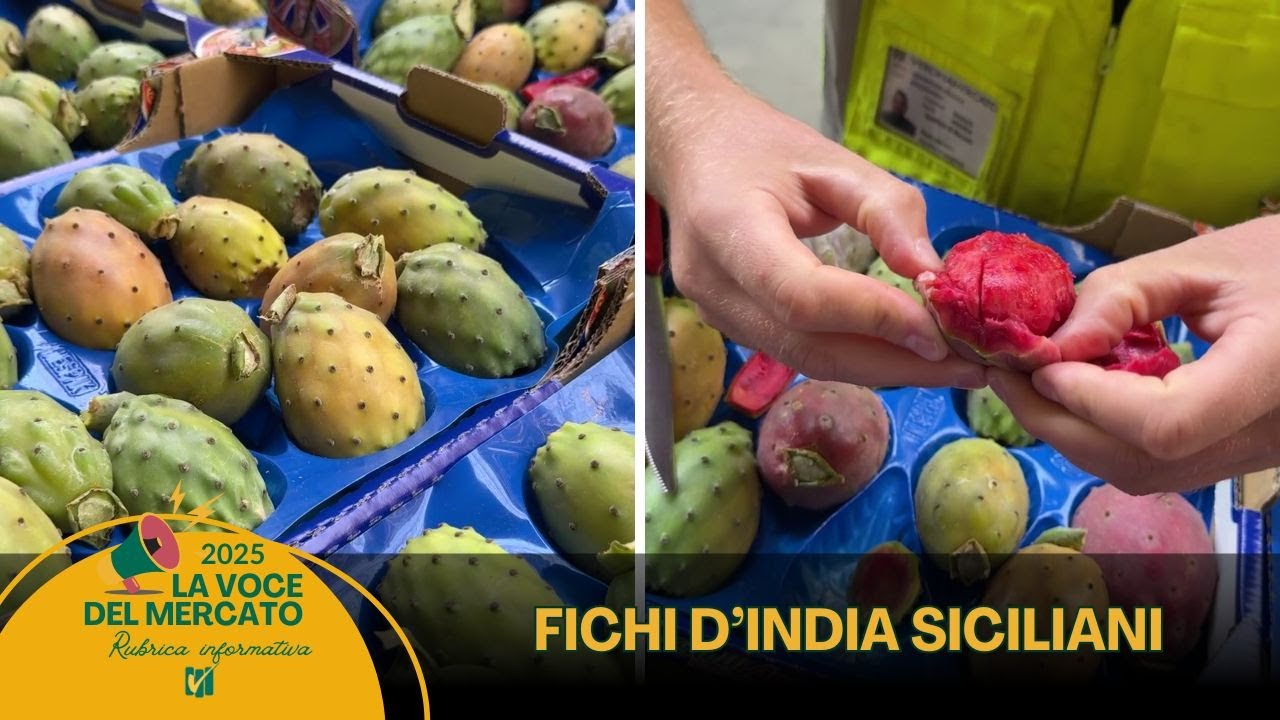 La voce del Mercato 13.08.2025: Fichi d'india primo fiore