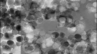 9713D6C955F7B9A2571C00290B6053#3