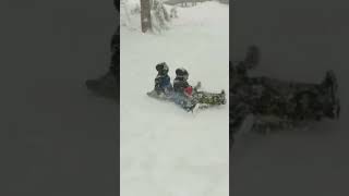 Fun NEVADA