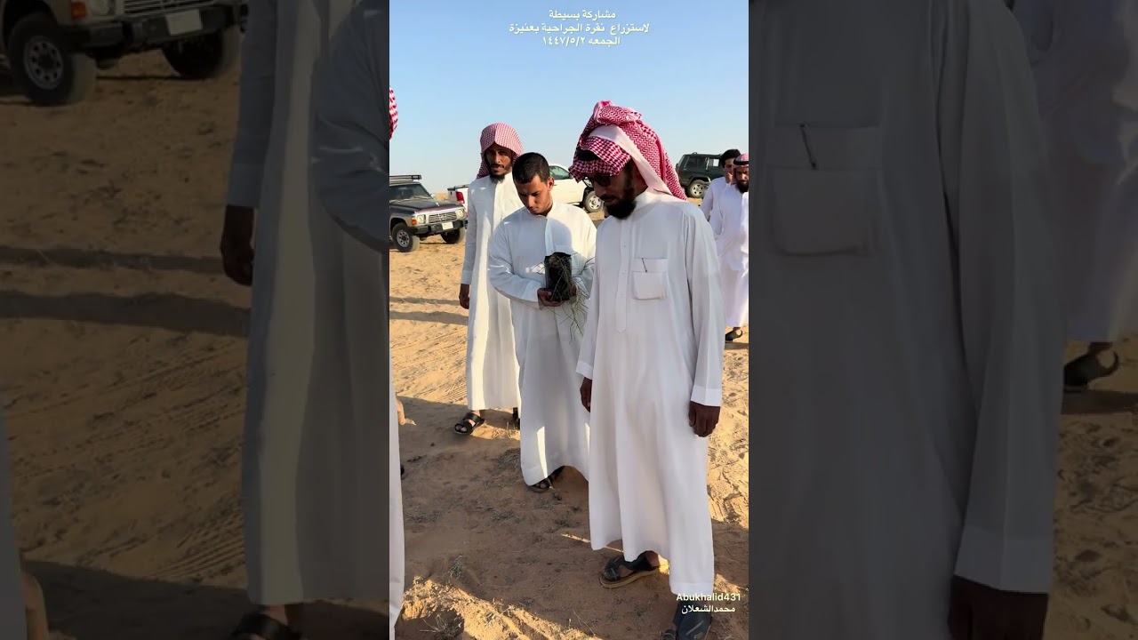 زراعة الغضا بالجراحيه بعنيزة ١٤٤٧/٥/٢محمدالشعلان 