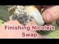 Finish South Carolina Nicole’s Swap #rocks #lapidary #jewelrymaking #jewelry #quartz