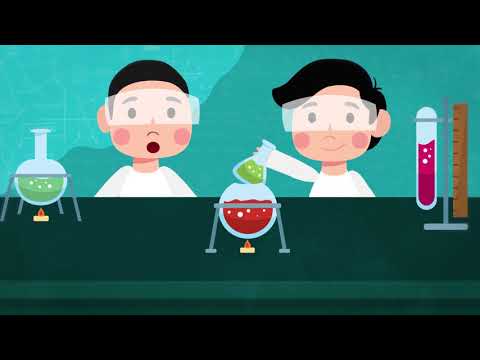 أشكال التعلم في STEM