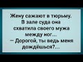 Жену Сажают в Тюрьму! Сборник Свежих Анекдотов! Юмор!